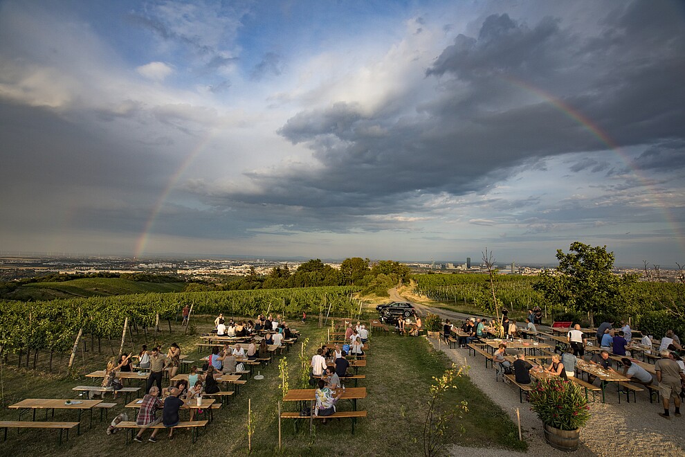 View from Vienna's vineyards with a rainbow in background